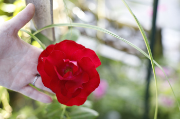 Naturkosmetik-Ostschweiz-Team-Dr-Joseph